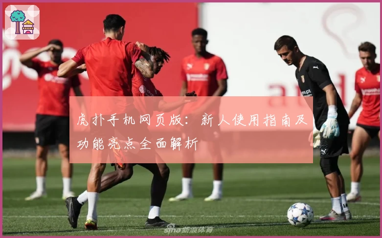 虎扑手机网页版：新人使用指南及功能亮点全面解析