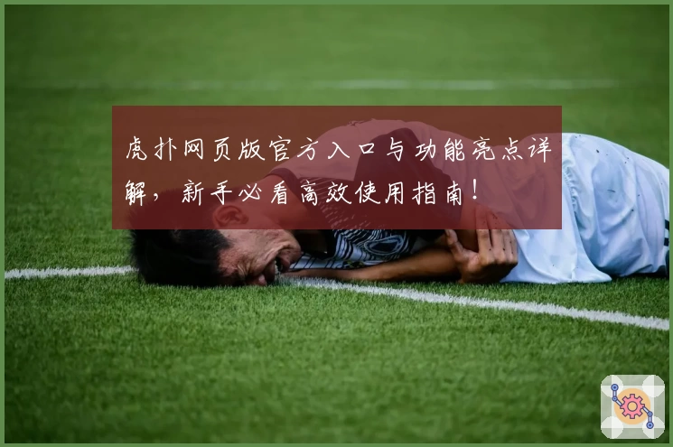 虎扑网页版官方入口与功能亮点详解，新手必看高效使用指南！