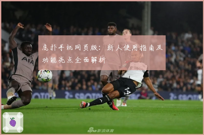 虎扑手机网页版：新人使用指南及功能亮点全面解析